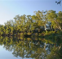 iWaterSki - Local Tourism