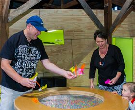 Twisted - Science At Play - Local Tourism 2