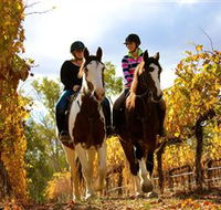 Billabong Ranch - Accommodation Australia
