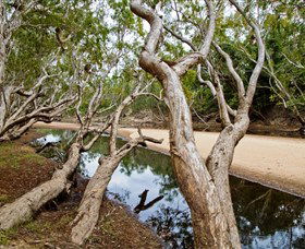 Oyala Thumotang National Park (CYPAL) - Accommodation Australia 0