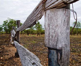 Oyala Thumotang National Park (CYPAL) - Accommodation Australia 1