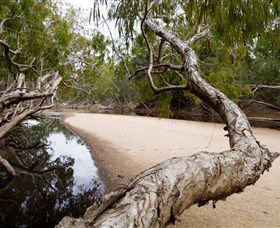 Oyala Thumotang National Park (CYPAL) - Accommodation Australia 3