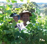 Wimmera Hills Winery - Accommodation Australia
