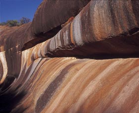  Local Tourism