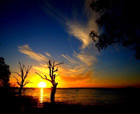 Lake Cowal - Accommodation Australia 0