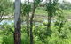 Pioneer River, Marian, Queensland - thumb 1