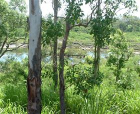 Pioneer River, Marian, Queensland - Accommodation Australia 1