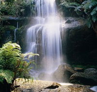 Mount Buangor State Park - Accommodation Australia