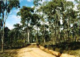 Paddys Ranges State Park - Local Tourism 0