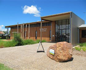 Pilliga Forest - Accommodation Australia 0