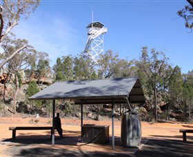 Pilliga Forest - Accommodation Australia 2