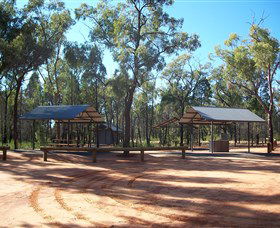 Pilliga Forest - Accommodation Australia 6