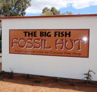 Big Fish Fossil Hut at Peak Hill - Local Tourism