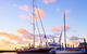 Abell Point Marina - thumb 1