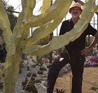 Cactus Country - Accommodation Australia
