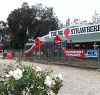 The Big Strawberry - Accommodation Australia