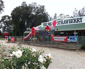 The Big Strawberry - Accommodation Australia 0