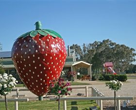 The Big Strawberry - Accommodation Australia 2