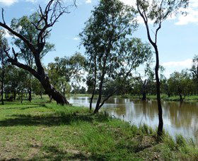 Seplin Estate Wines - Accommodation Australia 1
