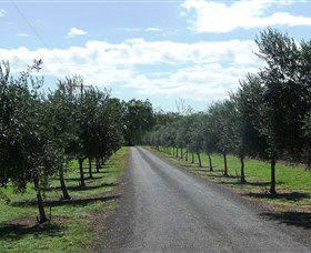 Seplin Estate Wines - Accommodation Australia 3