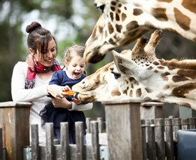 Taronga Western Plains Zoo, Dubbo - Accommodation Australia 0
