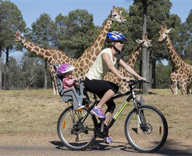 Taronga Western Plains Zoo, Dubbo - Accommodation Australia 2