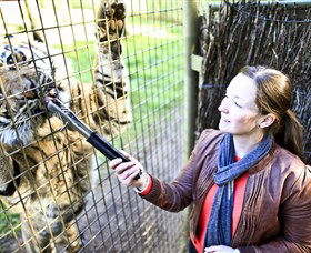 Taronga Western Plains Zoo, Dubbo - Accommodation Australia 3