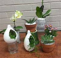 Cobram Florist - Accommodation Australia