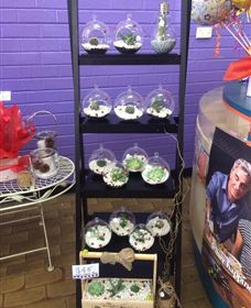 Cobram Florist - Accommodation Australia 3