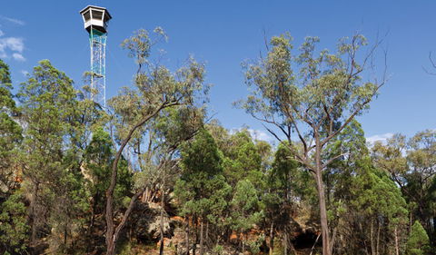 Salt Caves Picnic Area - Accommodation Australia 2
