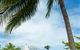 All Saints Chapel - Hamilton Island - thumb 3