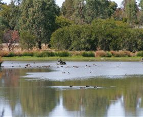 Tatura VIC Accommodation Australia