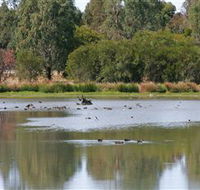 Cussen Park - Accommodation Australia