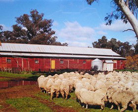 Savernake Day Tours - Accommodation Australia 1