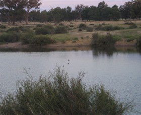 Savernake Day Tours - Accommodation Australia 7