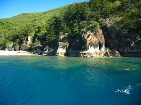Hayman Island QLD Local Tourism