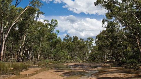 Pilliga National Park - Accommodation Australia 2