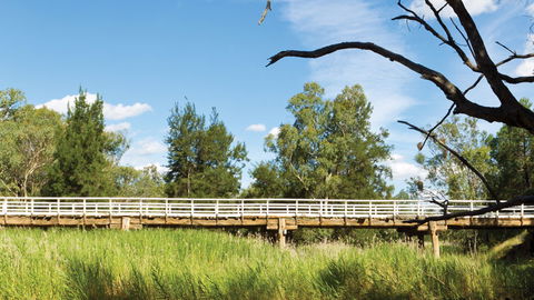 Pilliga National Park - Accommodation Australia 3