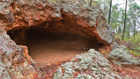 Pilliga National Park - Accommodation Australia 1