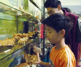 Crystal Kingdom - Accommodation Australia 2