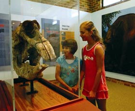Australian Museum Diprotodon Exhibition - Accommodation Australia 0