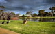 Roy Little Park Merredin - thumb 2