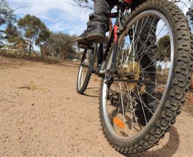 Tamma Parkland - Bed n Breakfasts 1