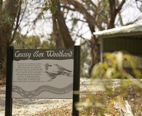 Kindra Forest - Accommodation Australia 0