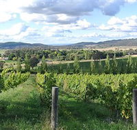 Sassy Wines - Local Tourism