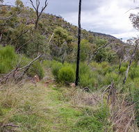 Lynchs loop trail - Local Tourism