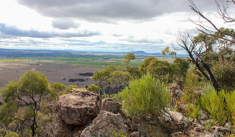 Lynchs Loop Trail - Accommodation Australia 3