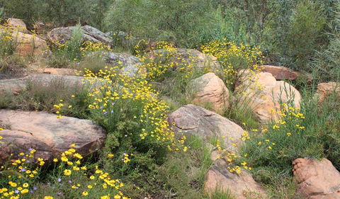Ben Hall's Cave Walking Track - Accommodation Australia 2