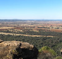 Basin Gully to Eualdrie lookout track - Local Tourism