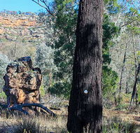 Eualdrie walking track - Local Tourism